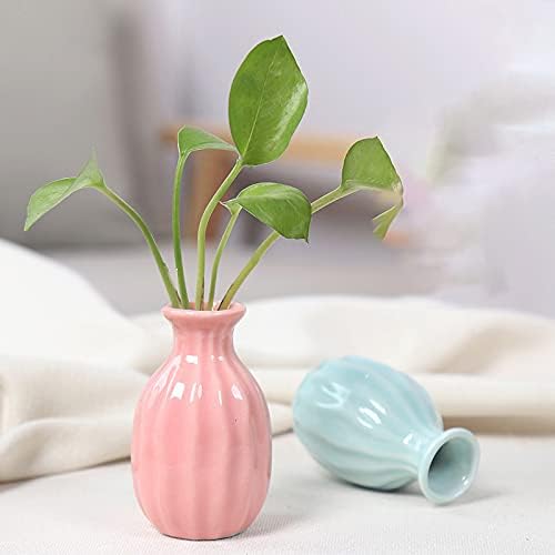 Little Buddies Bud Vase - Zabcart