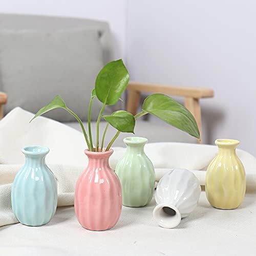 Little Buddies Bud Vase - Zabcart