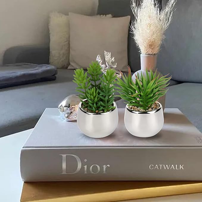 Artificial Silver Pot Plant - Zabcart