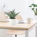 Artificial Potted Plant - Zabcart