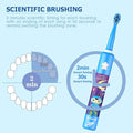 Kids Tooth Brush - Zabcart