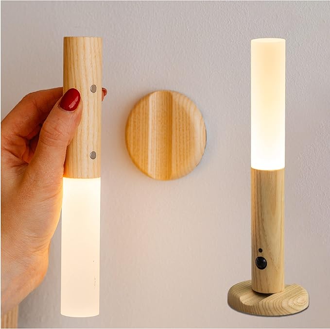 Intelligent Induction Light - Zabcart