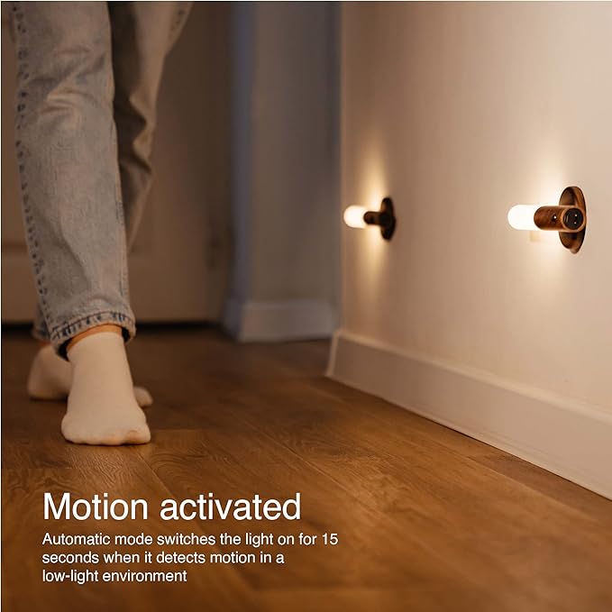 Intelligent Induction Light - Zabcart