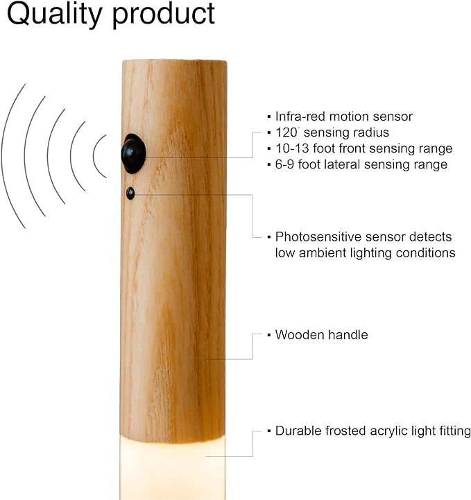Intelligent Induction Light - Zabcart