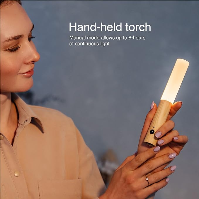 Intelligent Induction Light - Zabcart