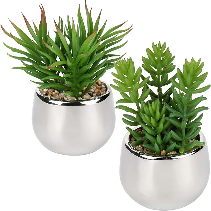 Artificial Silver Pot Plant - Zabcart