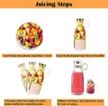 Fresh Juice Blender - Zabcart