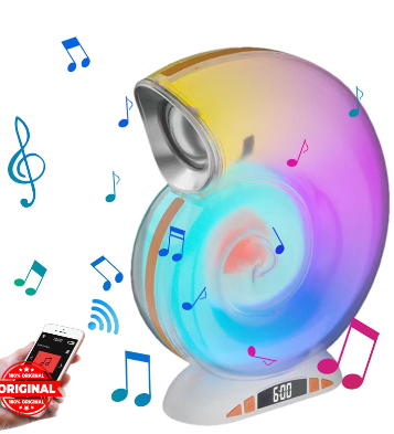 Conch Music Table Lamp - Zabcart