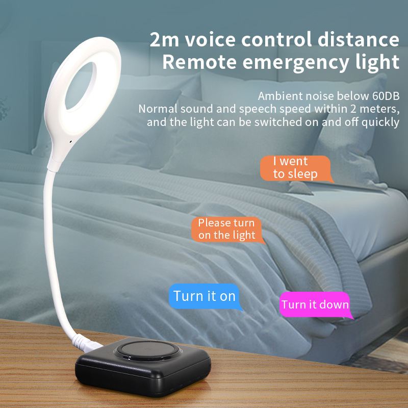 Smart Voice Control USB Light - Zabcart
