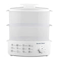 Electric Steamer and Defroster - Zabcart