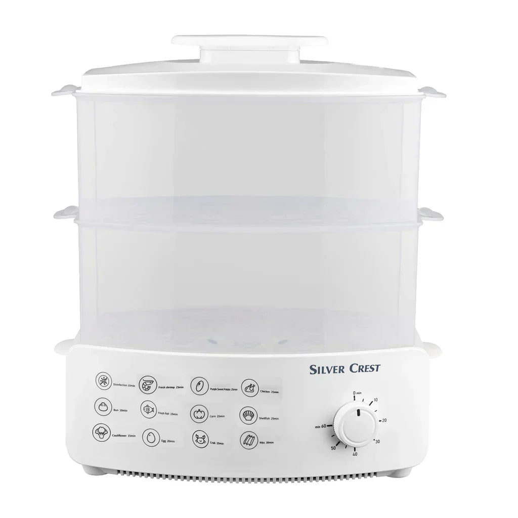 Electric Steamer and Defroster - Zabcart