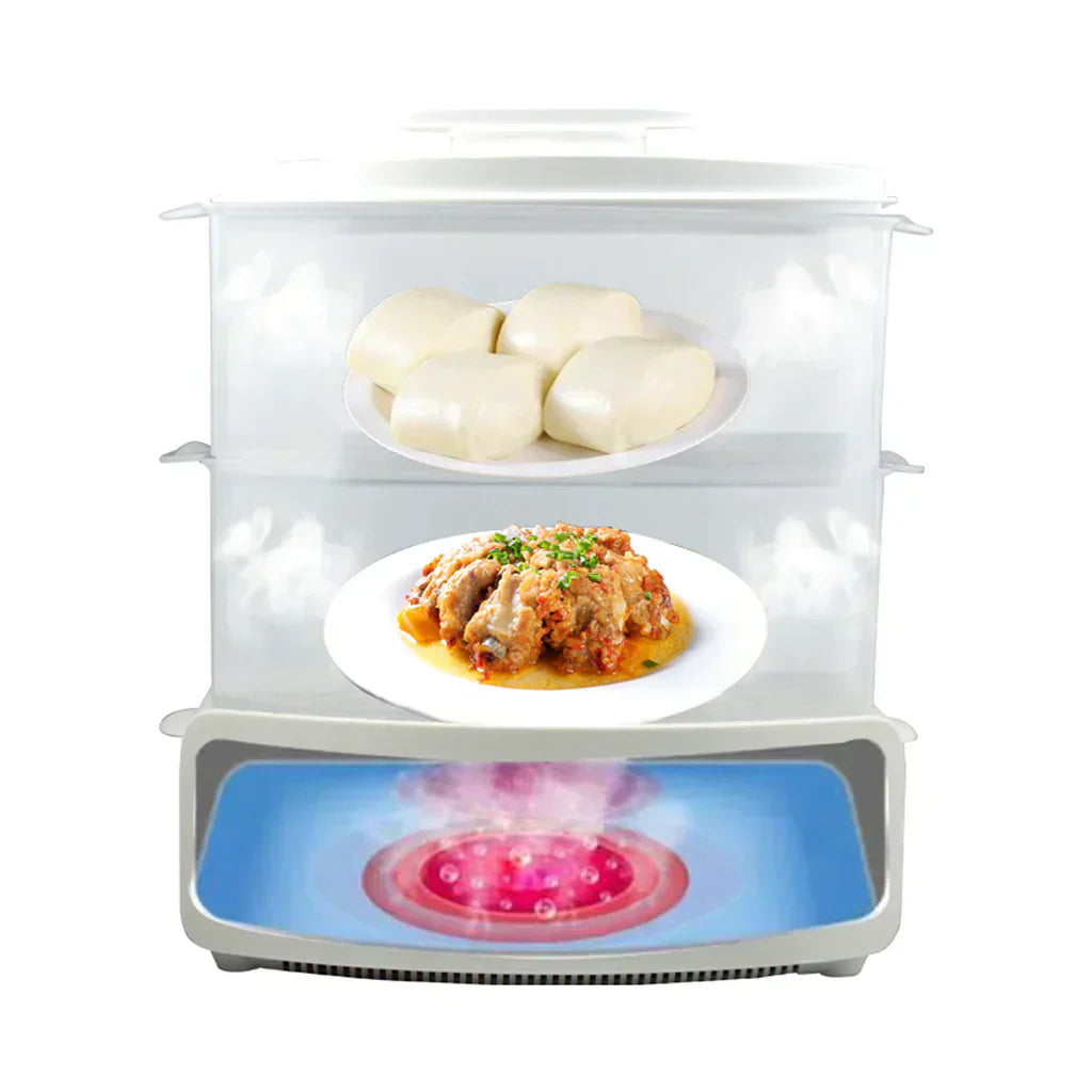 Electric Steamer and Defroster - Zabcart