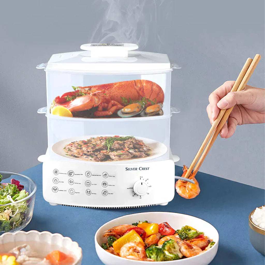 Electric Steamer and Defroster - Zabcart