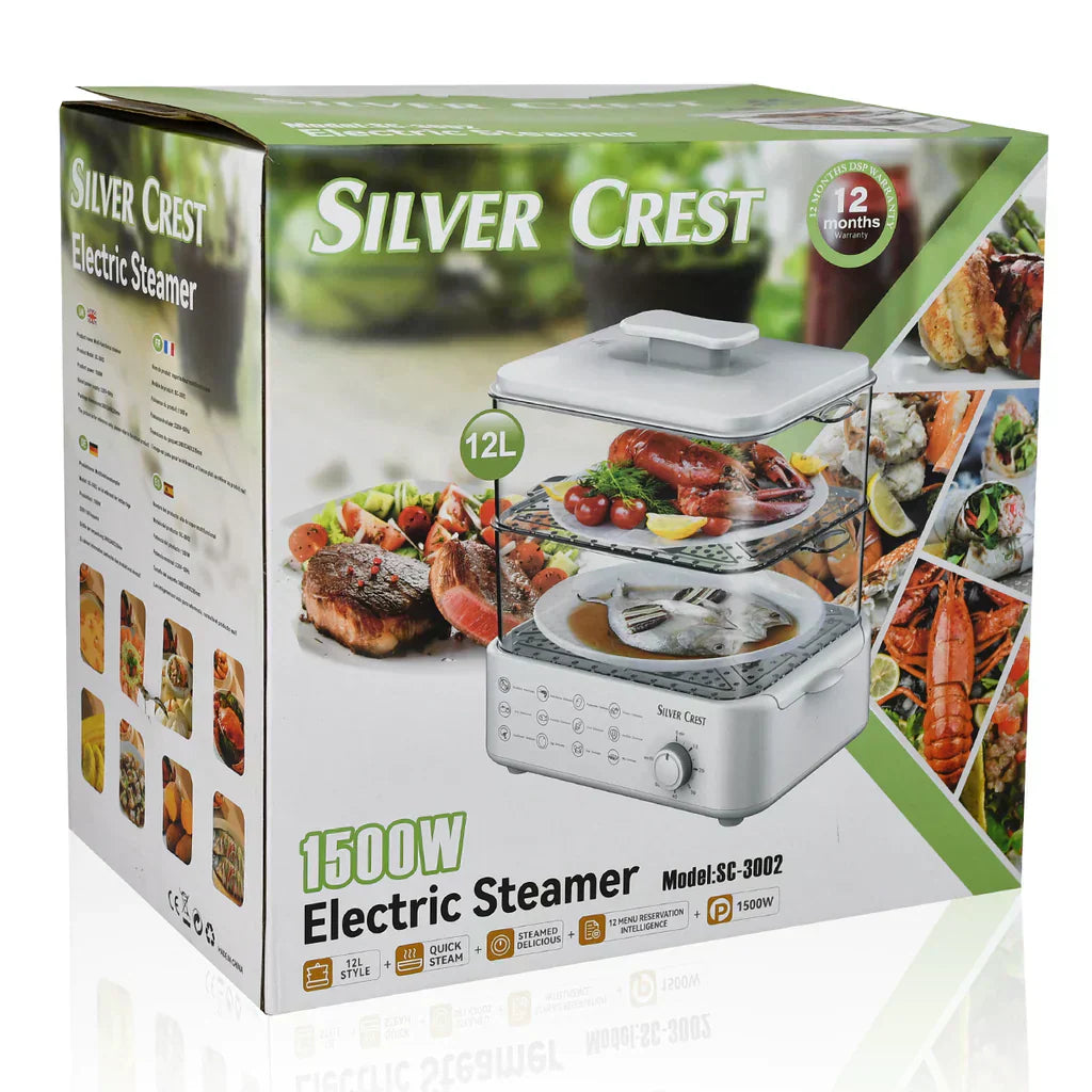 Electric Steamer and Defroster - Zabcart