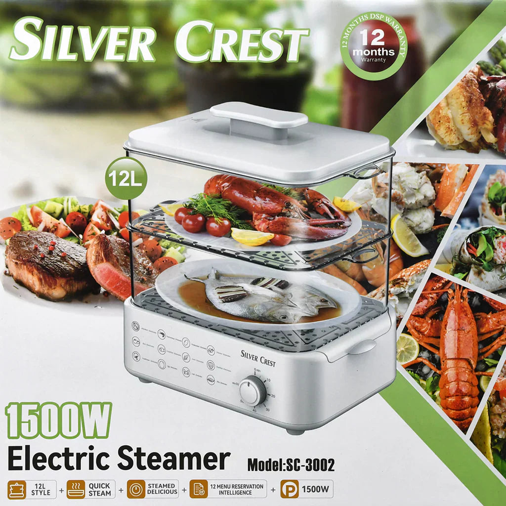 Electric Steamer and Defroster - Zabcart