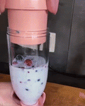 Fresh Juice Blender - Zabcart