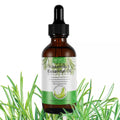 Rosemary Oil for Hair Growth - Zabcart